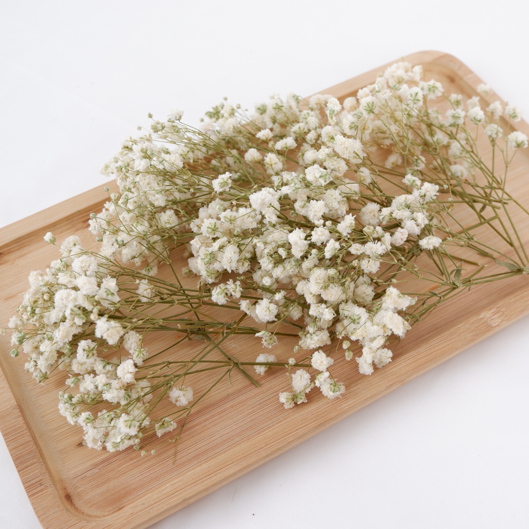 Florist Supply Vases - Gedroogde bloemen Witte Mini Gedroogde Babys