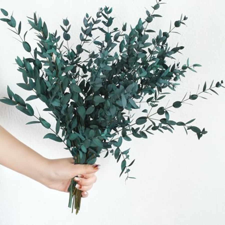 Eucalyptus Preserved - Gedroogde eucalyptusbladeren, geconserveerde groene stengels, 8-14