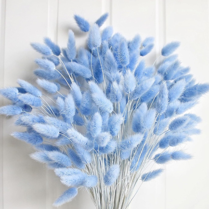 Florist Supply Vases - 100 STKS Blauw Haas-staart Gras Konijn