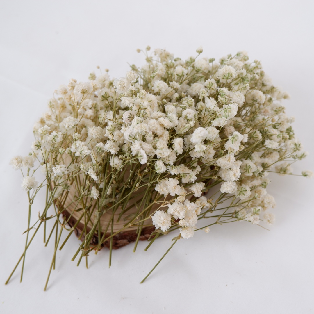 Gedroogde bloemen Witte Mini G - Florist Supply Vases recensie en prijs
