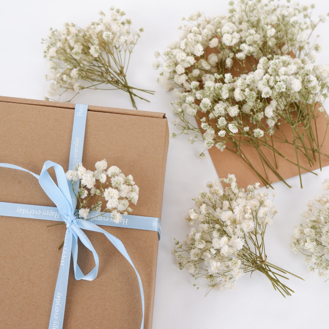 Gedroogde bloemen Witte Mini G - Florist Supply Vases recensie en prijs
