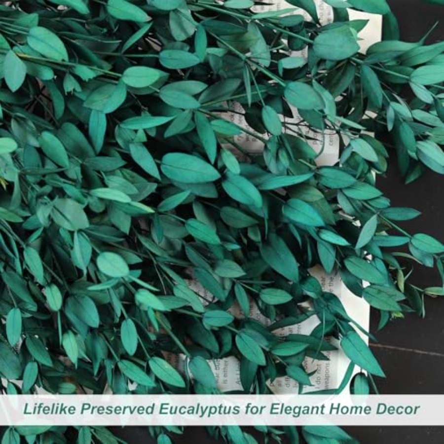 Gedroogde eucalyptusbladeren,  - Eucalyptus Preserved recensie en prijs