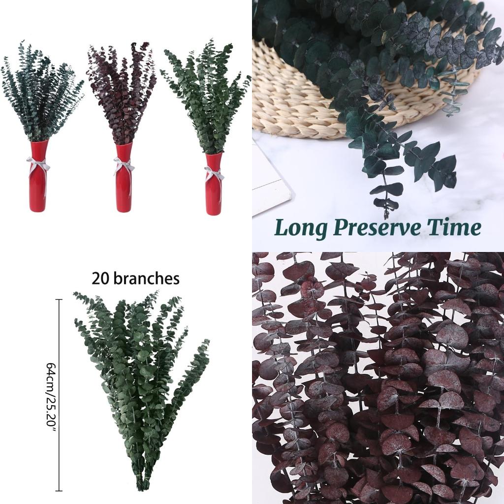 20 Stuks Bewaard Voor Eucalypt - Eucalyptus Preserved recensie en prijs