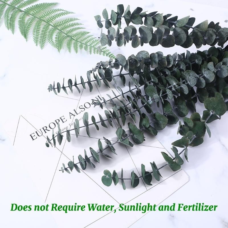 20 Stuks Bewaard Voor Eucalypt - Eucalyptus Preserved recensie en prijs