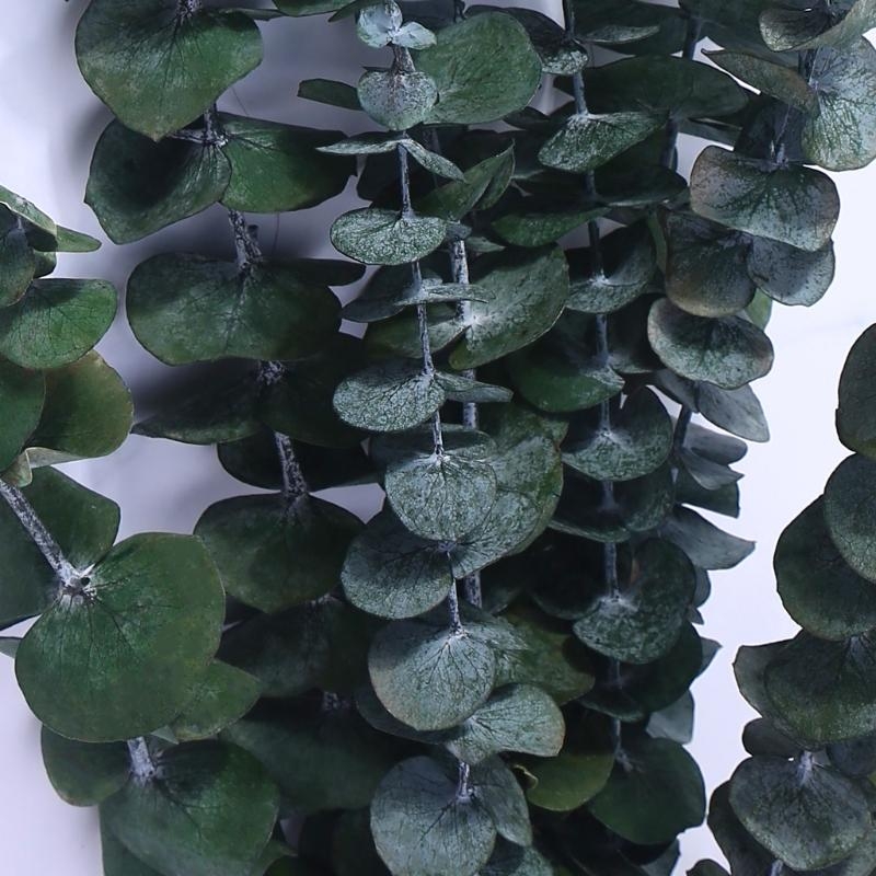20 Stuks Bewaard Voor Eucalypt - Eucalyptus Preserved recensie en prijs