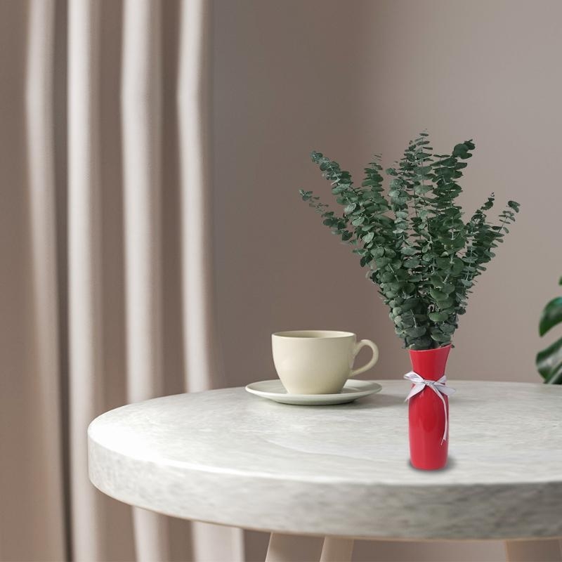 20 Stuks Bewaard Voor Eucalypt - Eucalyptus Preserved recensie en prijs