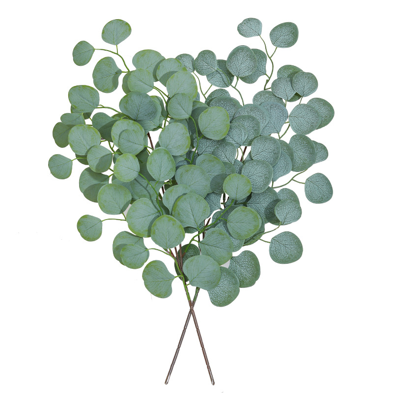 Eucalyptus Blad Wijnstok Kunst - Florist Supply Vases recensie en prijs