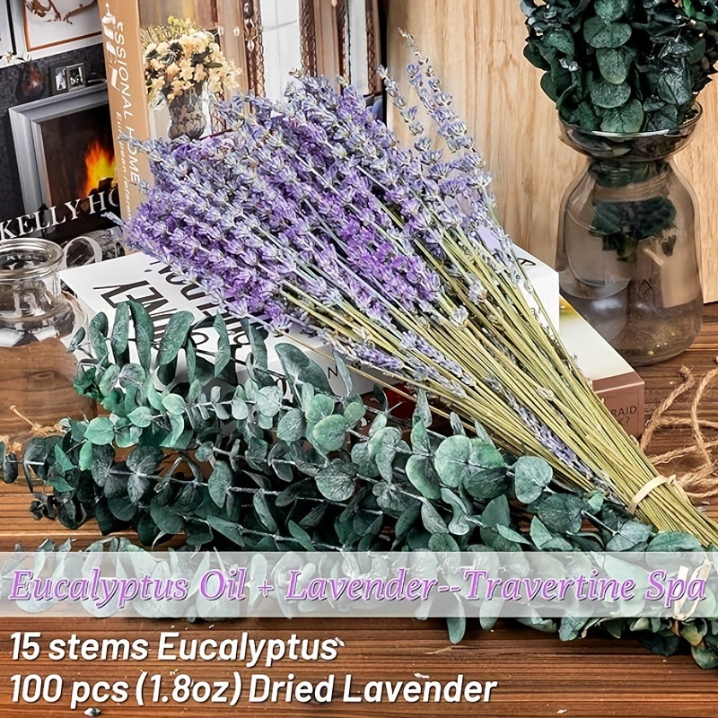 Gedroogd lavendel- en eucalypt - Eucalyptus Preserved recensie en prijs