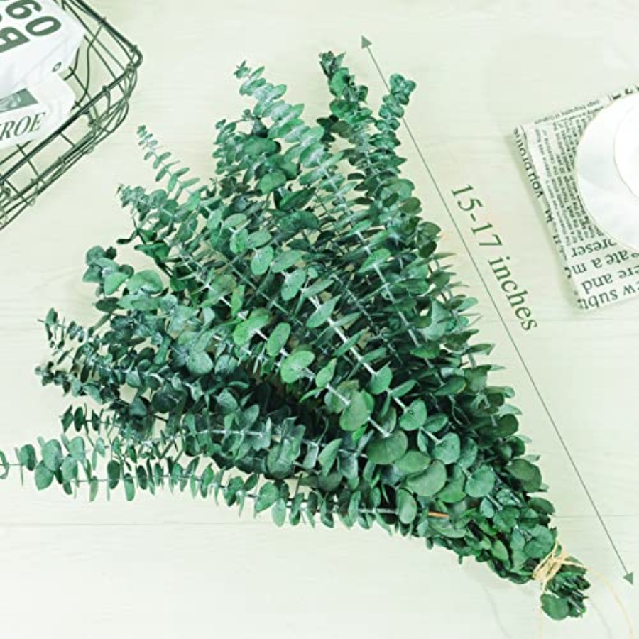 20 stuks geconserveerde gedroo - Eucalyptus Preserved recensie en prijs