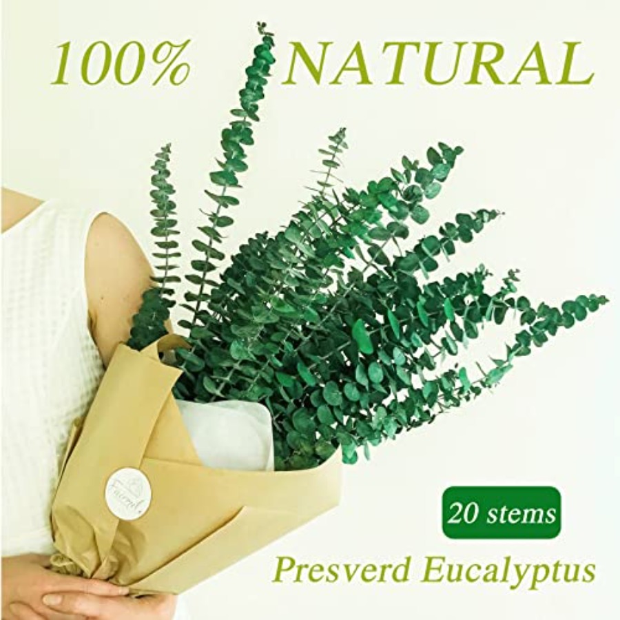 20 stuks geconserveerde gedroo - Eucalyptus Preserved recensie en prijs