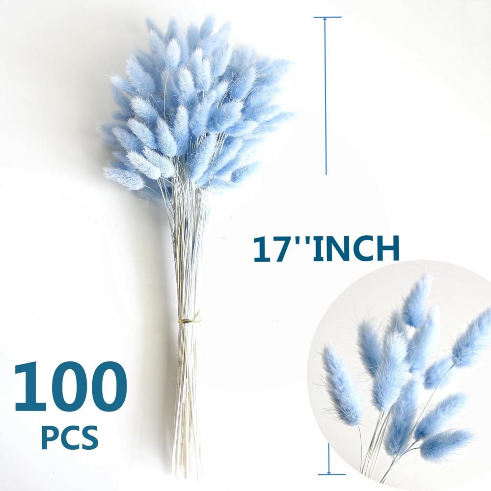 100 STKS Blauw Haas-staart Gra - Florist Supply Vases recensie en prijs