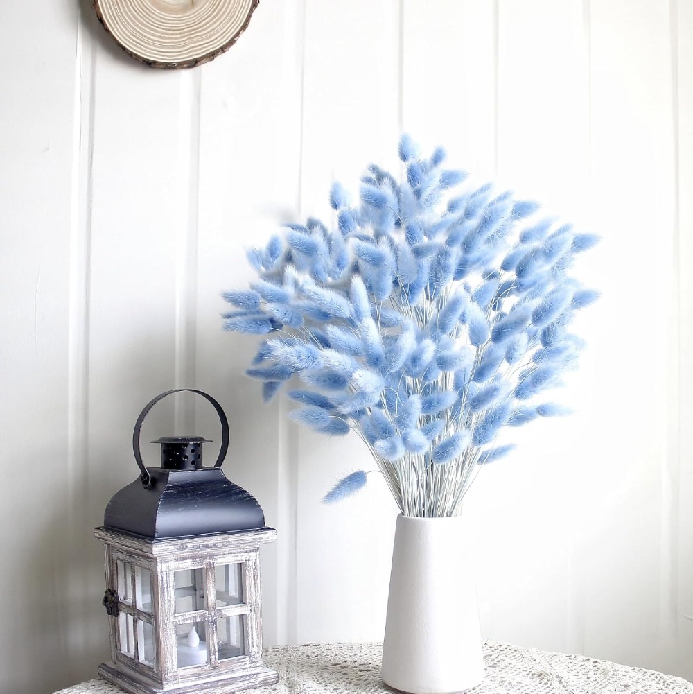 100 STKS Blauw Haas-staart Gra - Florist Supply Vases recensie en prijs