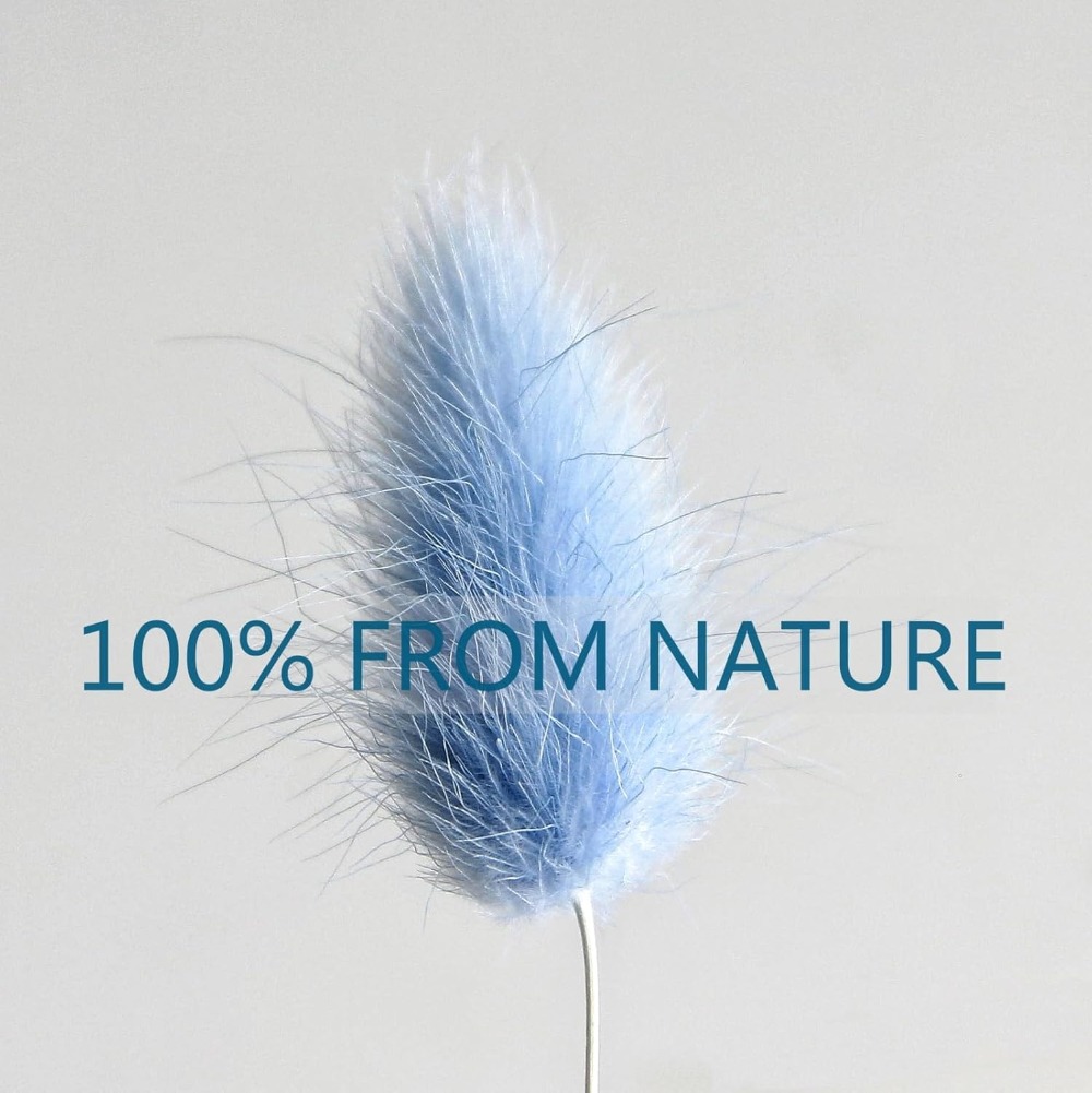 100 STKS Blauw Haas-staart Gra - Florist Supply Vases recensie en prijs